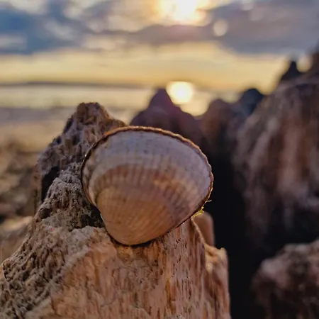 Design-appartement-schoenfeld كيل