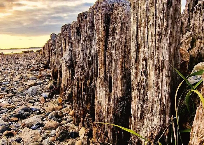 Design-appartement-schoenfeld 아파트 킬