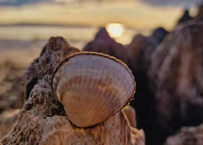 Design-appartement-schoenfeld Appartement Kiel